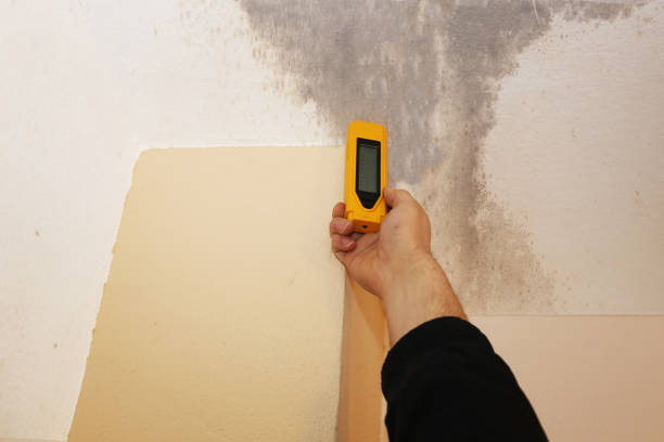 Best Post-Remediation Verification Testing  in Aliso Viejo, CA