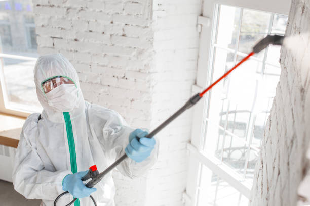 Best Asbestos and Lead Testing During Mold Inspection  in Aliso Viejo, CA