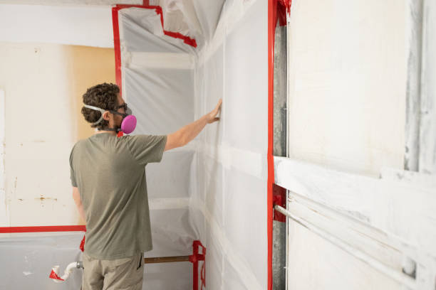  Aliso Viejo, CA Mold Removal Pros
