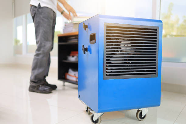 Best Biohazard Mold Removal  in Aliso Viejo, CA
